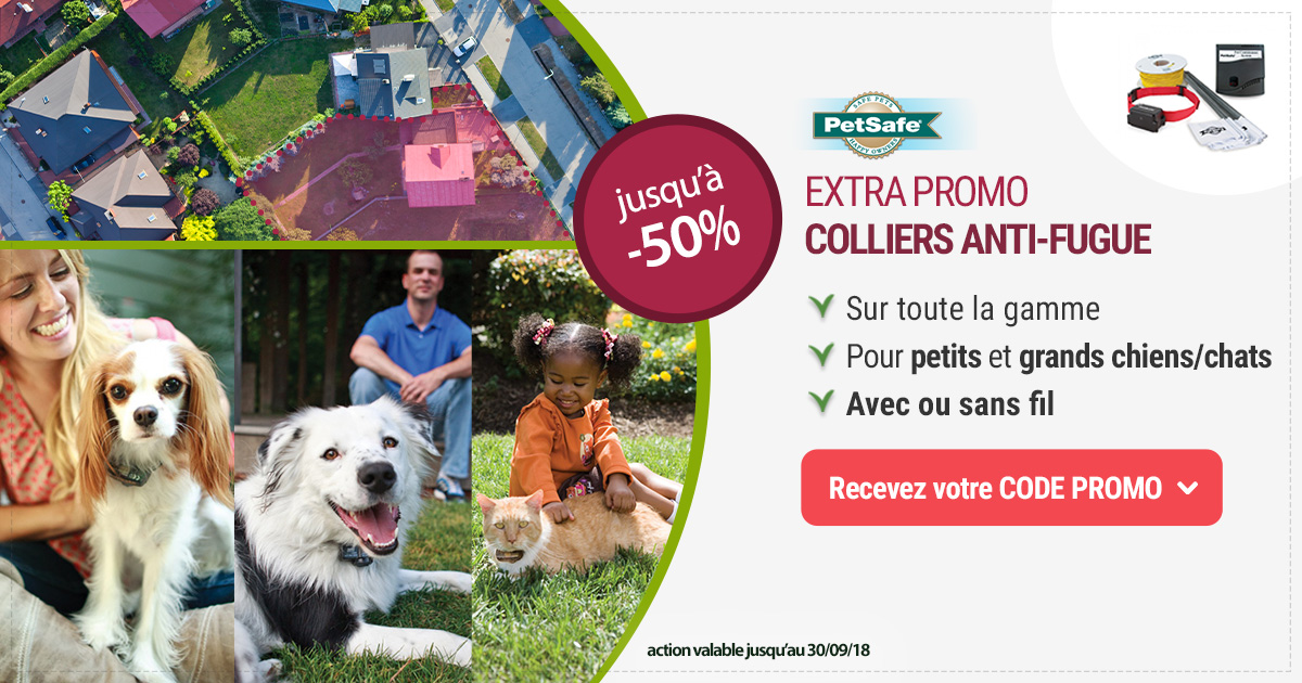 Promotion Sur Les Clotures Anti Fugue Petsafe A Namur Promotion Sur Les Clotures Anti Fugue Petsafe A Namur