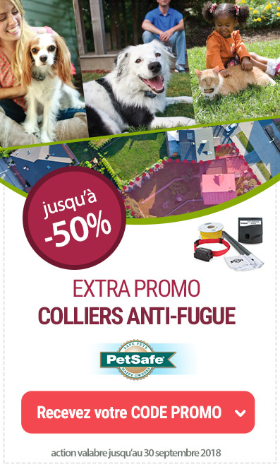 Promotion Sur Les Clotures Anti Fugue Petsafe A Namur Promotion Sur Les Clotures Anti Fugue Petsafe A Namur