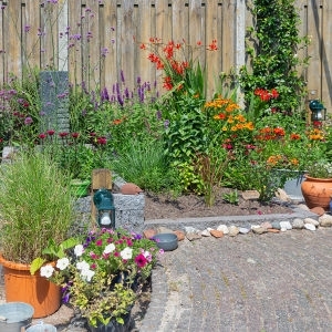 Créer un espace d’intimité dans votre jardin avec des panneaux opaques ou des palissades
