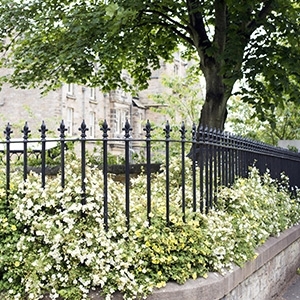 Quel matériau choisir pour votre palissade de jardin à Profondeville ? 