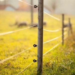 Systèmes de clôtures électriques pour petits et grands animaux